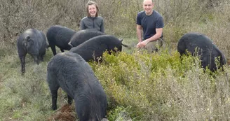 Ferme du Plateau des Soies