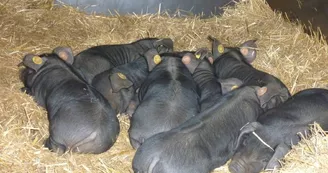 Ferme du Plateau des Soies