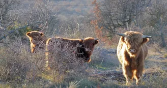 Ferme du Plateau des Soies