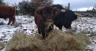 Ferme du Plateau des Soies