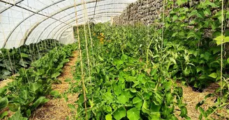 Ferme du Bouveironnet