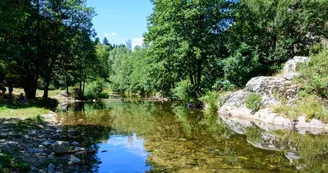 Baignade au plan d'eau