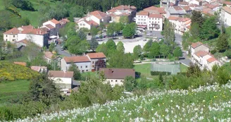 Baignade au plan d'eau