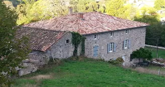 La maison des Badons - Le châtaignier et les Mûriers