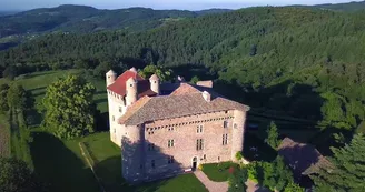 Château de Maisonseule