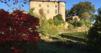 Château de Maisonseule