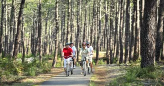 velo-amis-biscarrosse-velodyssee-foret