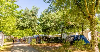 camping la foret lahitte