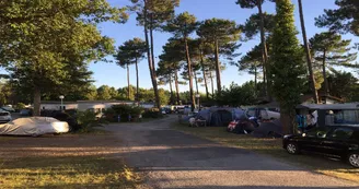 camping-les-echasses-allee