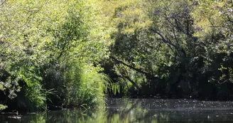 barques-balades-biscarrosse-lac-sud-5