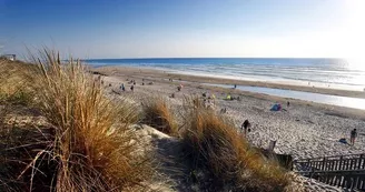 Plage-ocean-bisca-nature