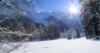 Lac en hiver