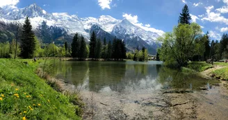 Lac en été