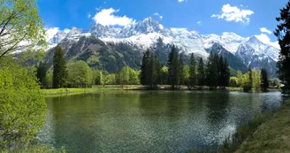 Lac en été