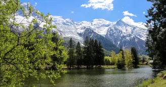 Lac en été