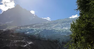 Glacier des Bossons