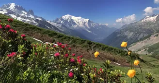 Col de Balme