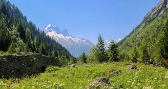 Col des Montets