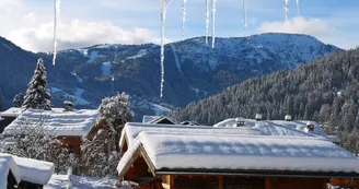 Chalet du bonheur , chalet Vallée Verte