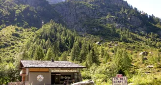 Site de blocs du Col des Montets