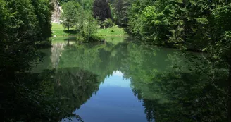 Pêche au lac à l'Anglais