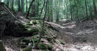 Le massif des Gures et son ancien camp celtique