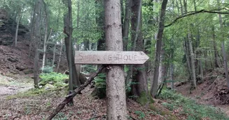 Le massif des Gures et son ancien camp celtique