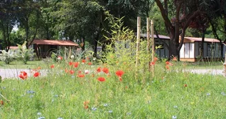 Camping L'Apamée