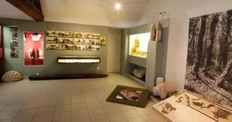 MUSÉE D'HISTOIRE BERNARD COUNOT