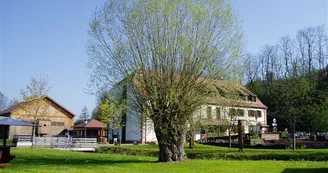 LE SITE DU MOULIN D'ESCHVILLER