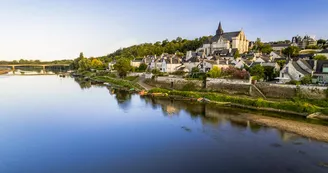 Visites de groupe guidées et commentées du village et/ou de la collégiale de Candes-Saint-Martin