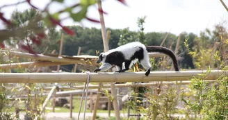 La Tanière - Zoo refuge