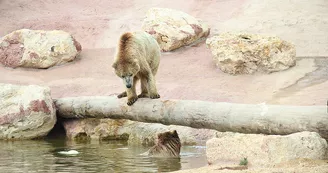 La Tanière - Zoo refuge