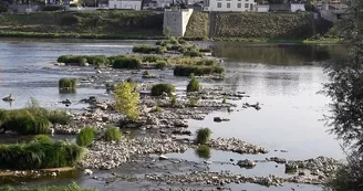 Office de tourisme Val de Loire & Forêt d'Orléans - Bureau de Jargeau