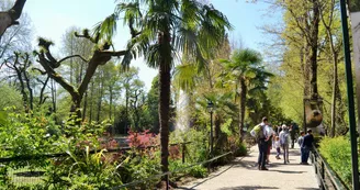 ZooParc de Beauval