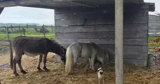 Ferme pédagogique de Martine