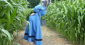 Labyrinthe de Beaugency