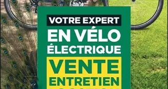 Location de vélos électriques : Feu Vert