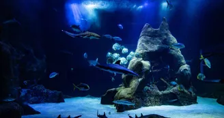 Aquarium de Biarritz