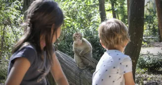 La Vallée des Singes