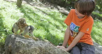 La Vallée des Singes