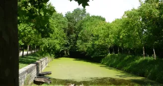 Saint-Georges-de-Rex et son marais préservé