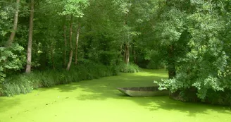 Saint-Georges-de-Rex et son marais préservé