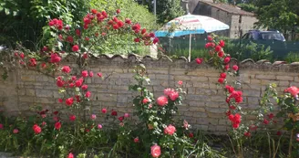 La Maison des Tournesols