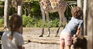 Zoo de Bordeaux-Pessac