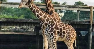 Zoo du Bassin d'Arcachon