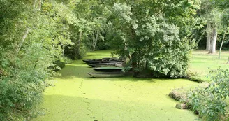 Arçais Venise Verte Loisirs