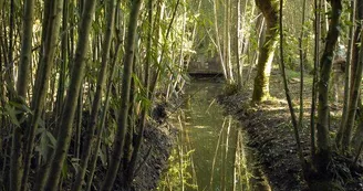 Niort et sa Coulée Verte