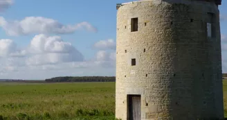 Usseau : berceau de la grand-mère de l’Europe