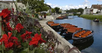 Coulon, capitale de la Venise Verte